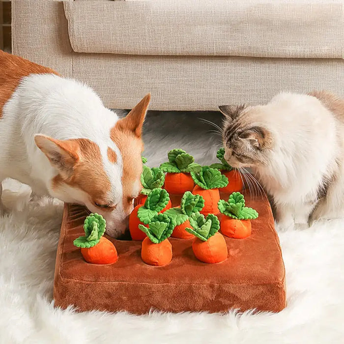 Pet Vegetable Chew Toy